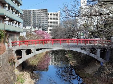 ⛩️ 마쓰도 신사(마츠도진자) 이미지 4